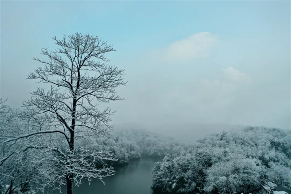 在銅鑼壩，來一場與風(fēng)雪邂逅的浪漫