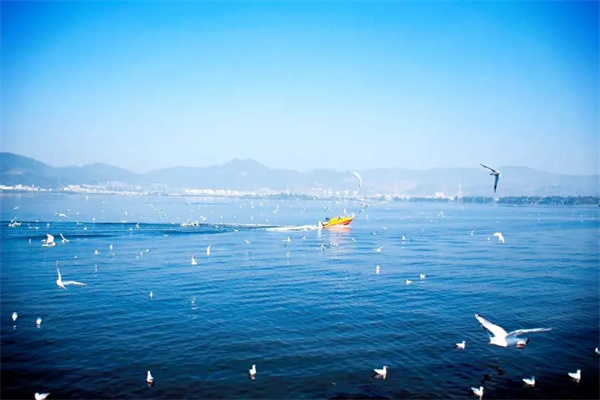 想偷半日浮生閑？來昆明看天、看湖、看雪景|春城冬韻·美景