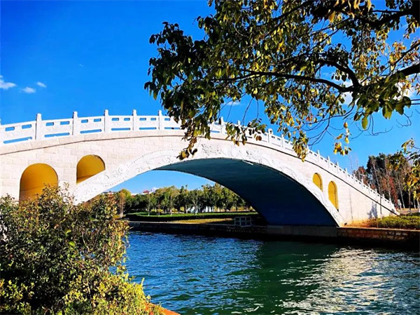 是時(shí)候去濕地公園轉(zhuǎn)轉(zhuǎn)了，水杉、白鷺、紅嘴鷗……多彩生物已上線(xiàn)！