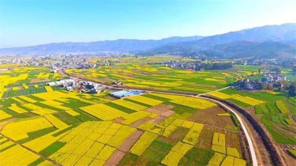冬未盡，春已來(lái)！楚雄早春賞花計(jì)劃可以安排起來(lái)了