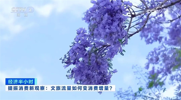 云南旅游,云南旅行社,云南團(tuán)建公司,云南策劃公司,云南會(huì)議執(zhí)行公司,昆明旅游,昆明旅行社,昆明團(tuán)建公司,昆明策劃公司,昆明會(huì)議執(zhí)行公司：央視13分鐘聚焦！昆明以花為媒提振消費(fèi) 文旅流量變消費(fèi)增量